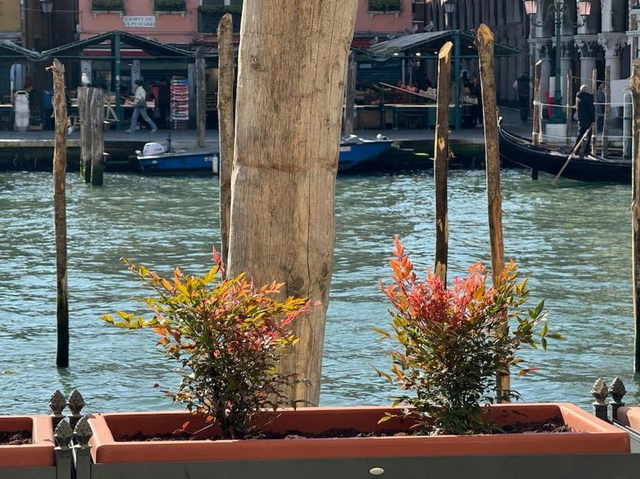Grand Canal Diamond Appartamento Venezia