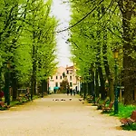 Biennale 1215
