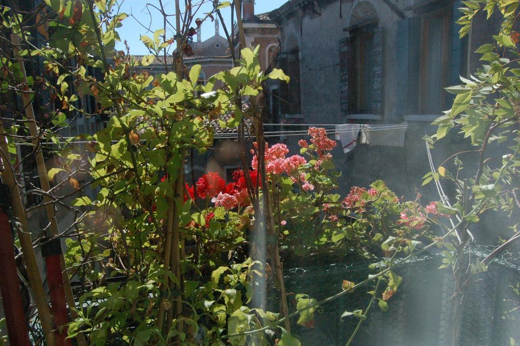 Ca' Riccio 2* Venise
