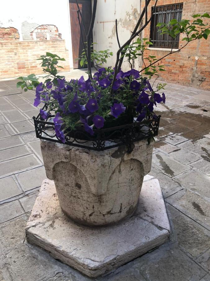 Venetian Infinity Apartment Venedig