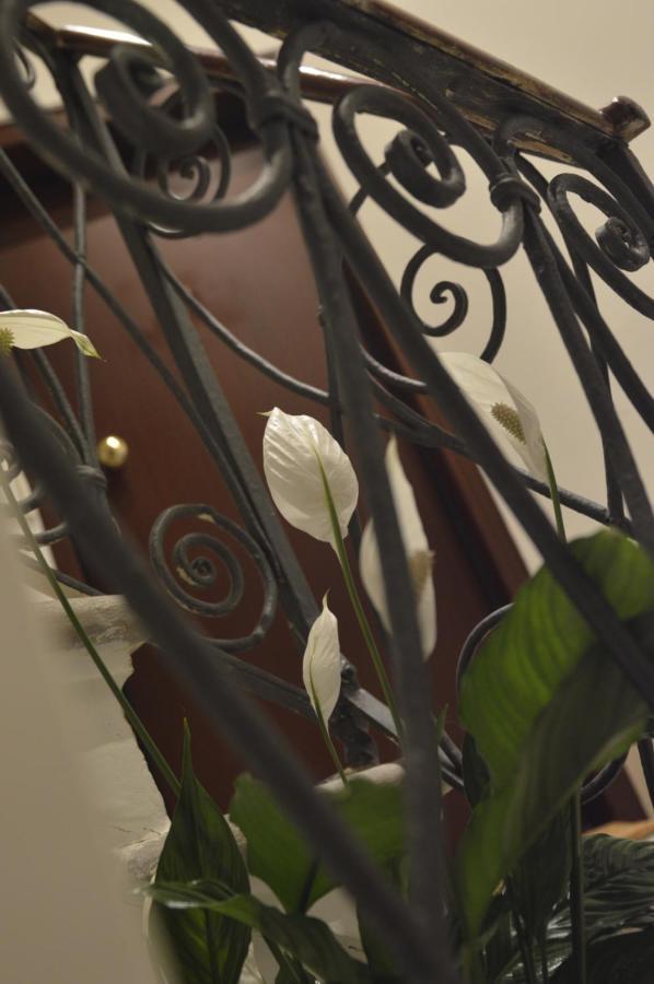 San Lorenzo Apartments near St Mark's square Venezia