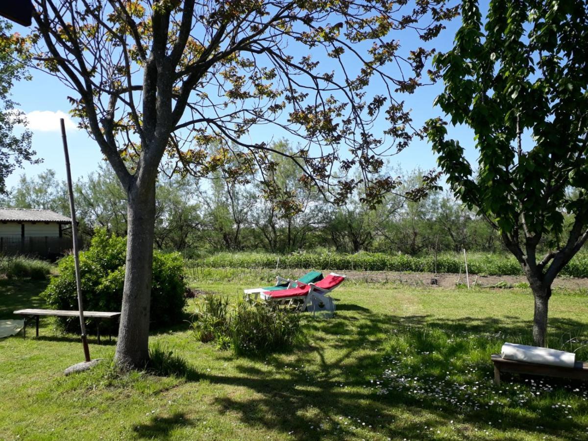 Laguna Di Isola Di S.erasmo Alloggio in famiglia Venezia