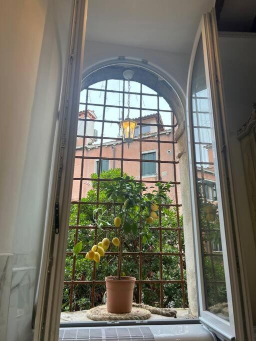 Mariangela Venetian Venezia