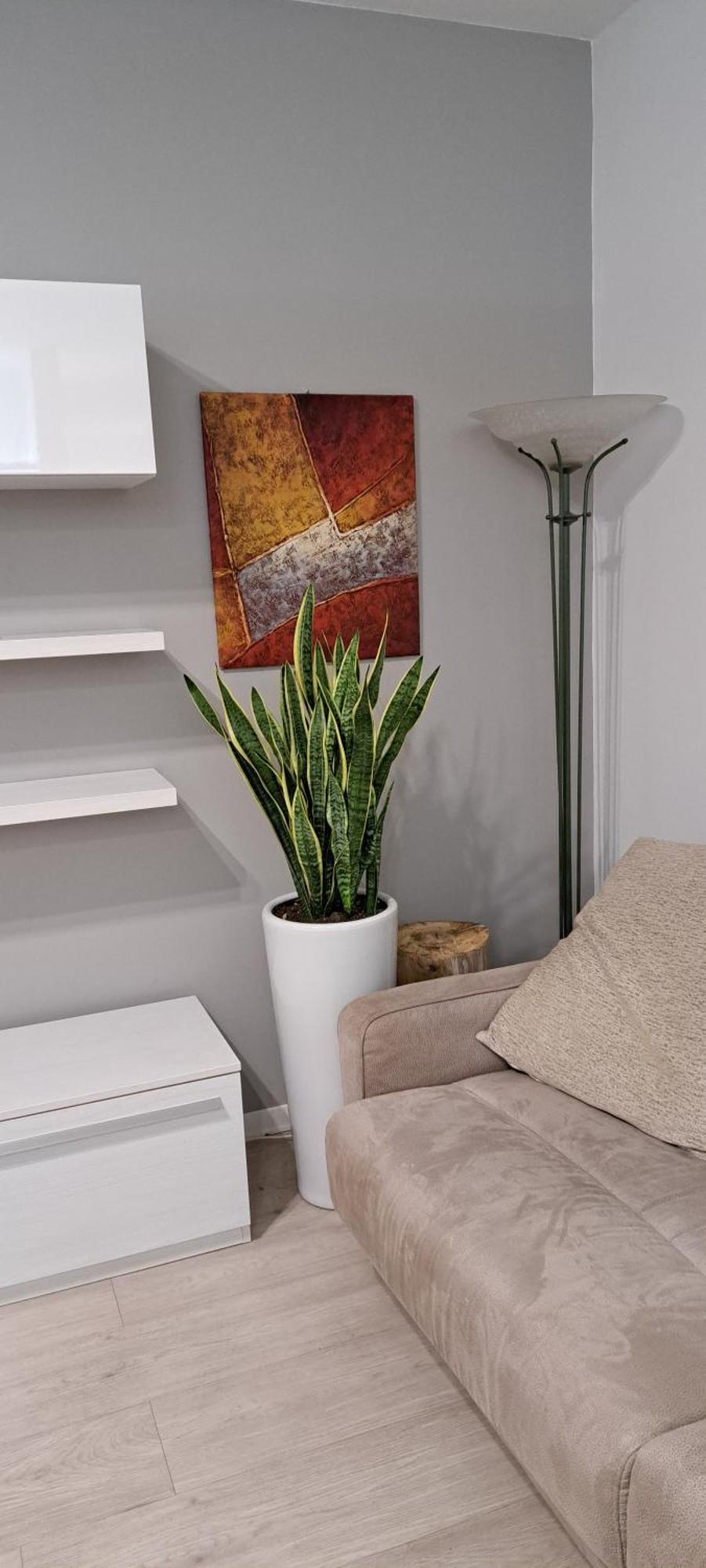 Appartement Marco