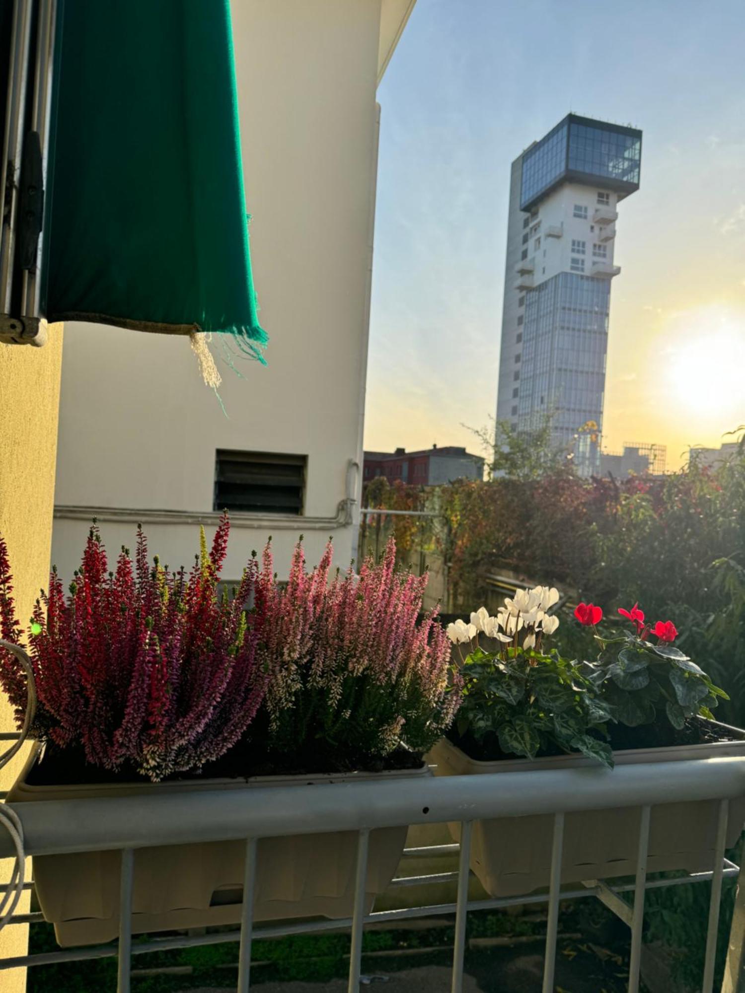 Appartement Grey Venise