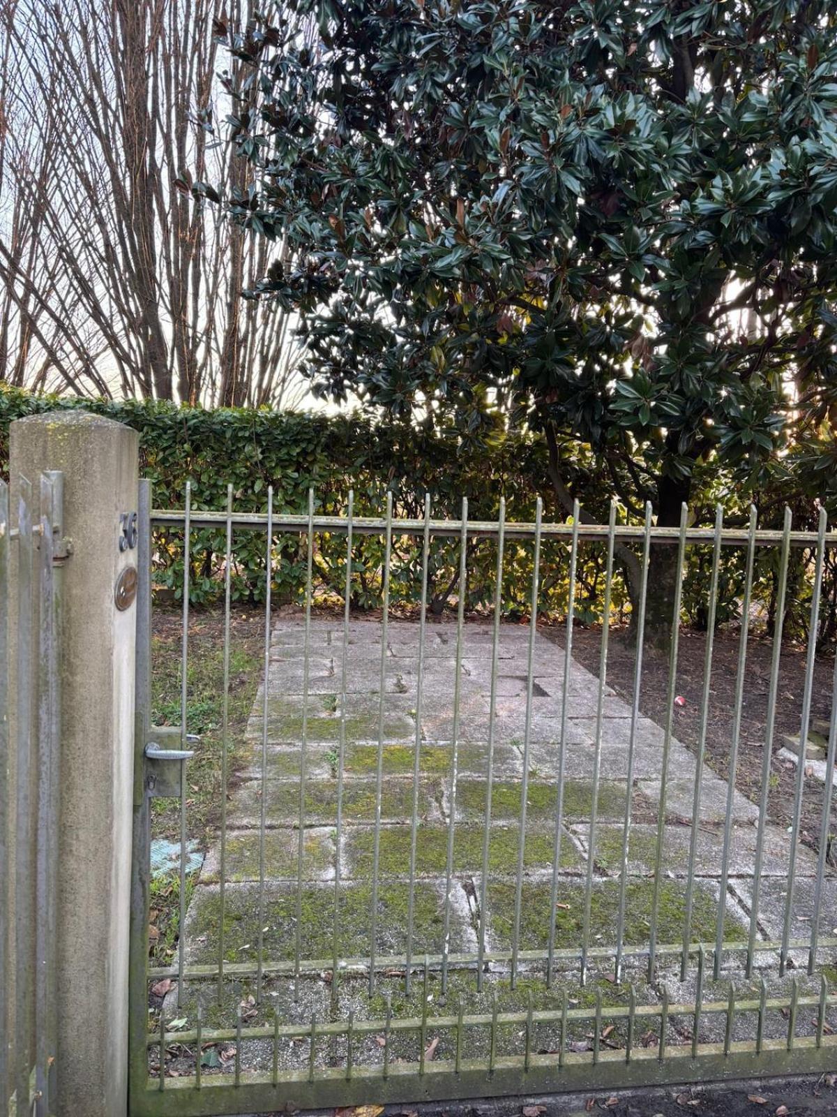 House In The Park! Free Parking And Convenient To