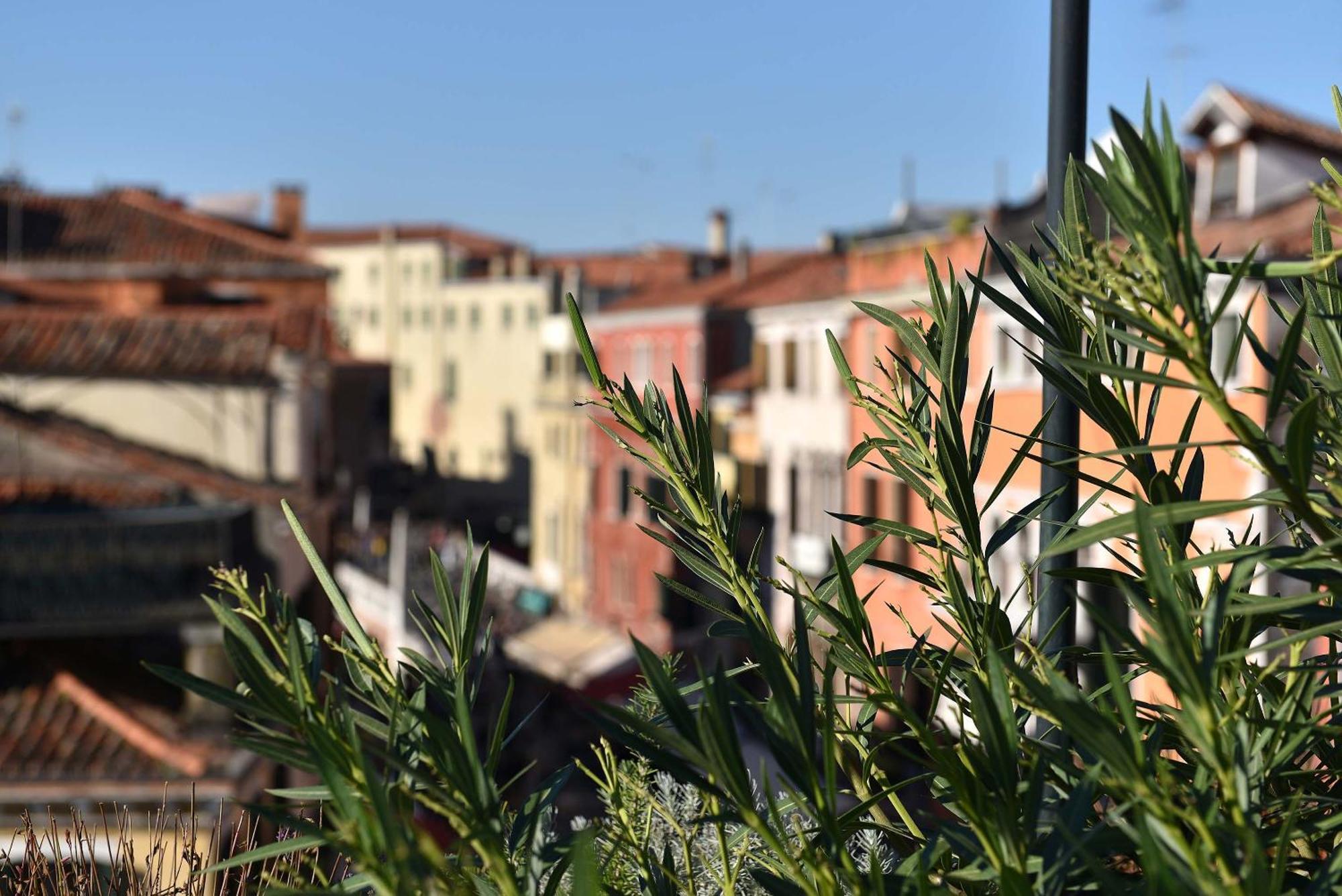 Refugium Amoris - With Fantastic Roof Terrace