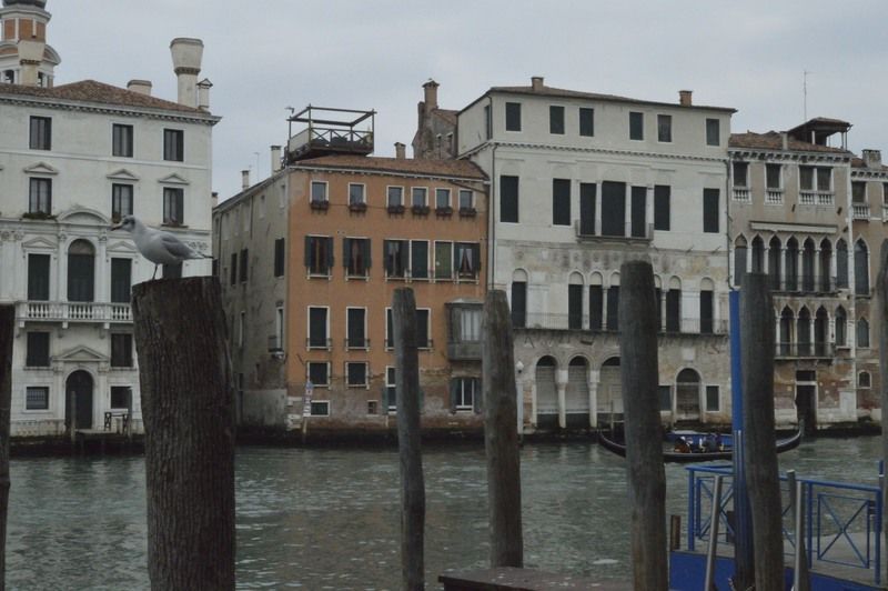 Gasthof Locanda Leon Bianco On The Grand Canal Venedig