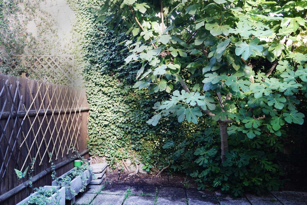 Appartamento La Maisonette Et Son Jardin