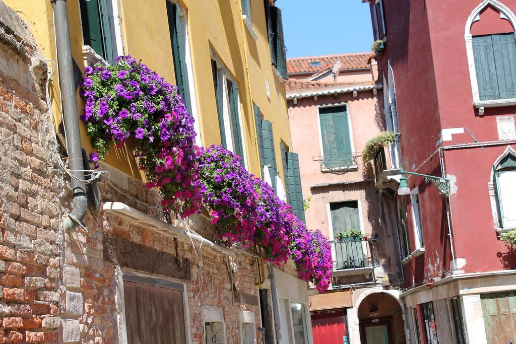Calle Dei Preti Appartement *