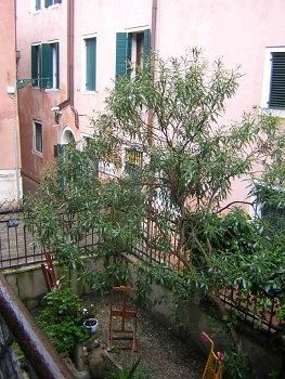 Fenice Appartement