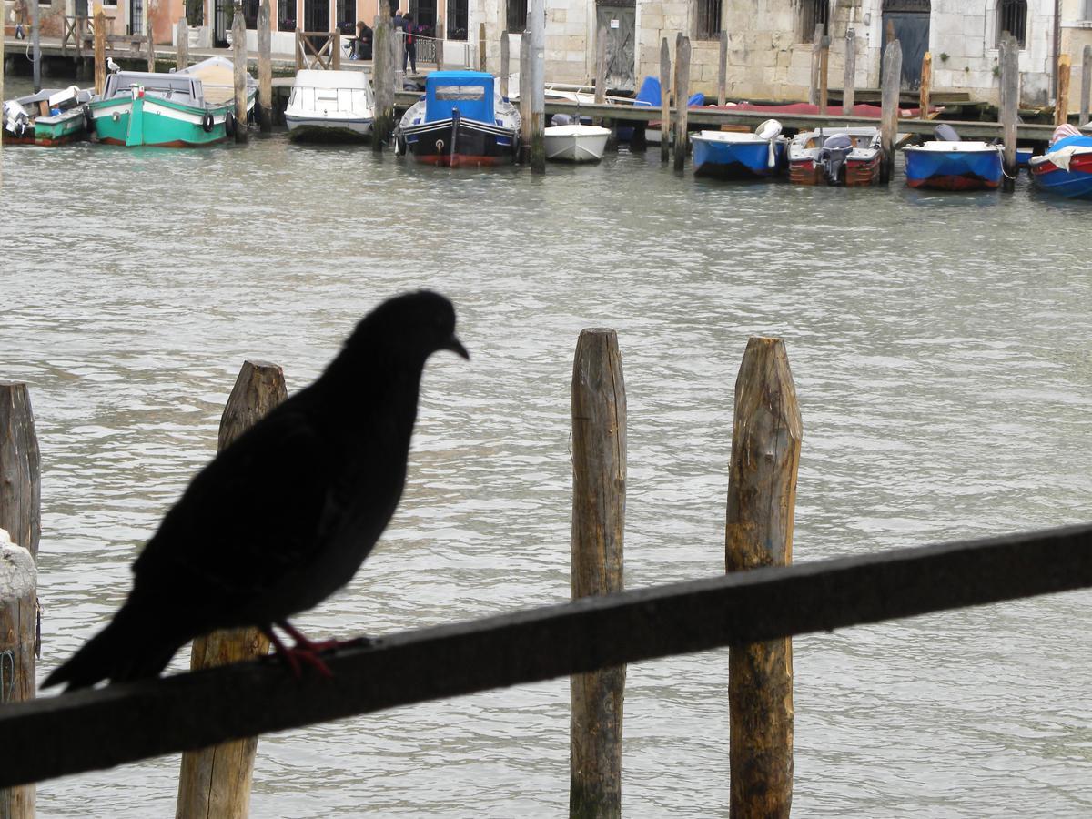 La Felice Canal Grande * Venetië