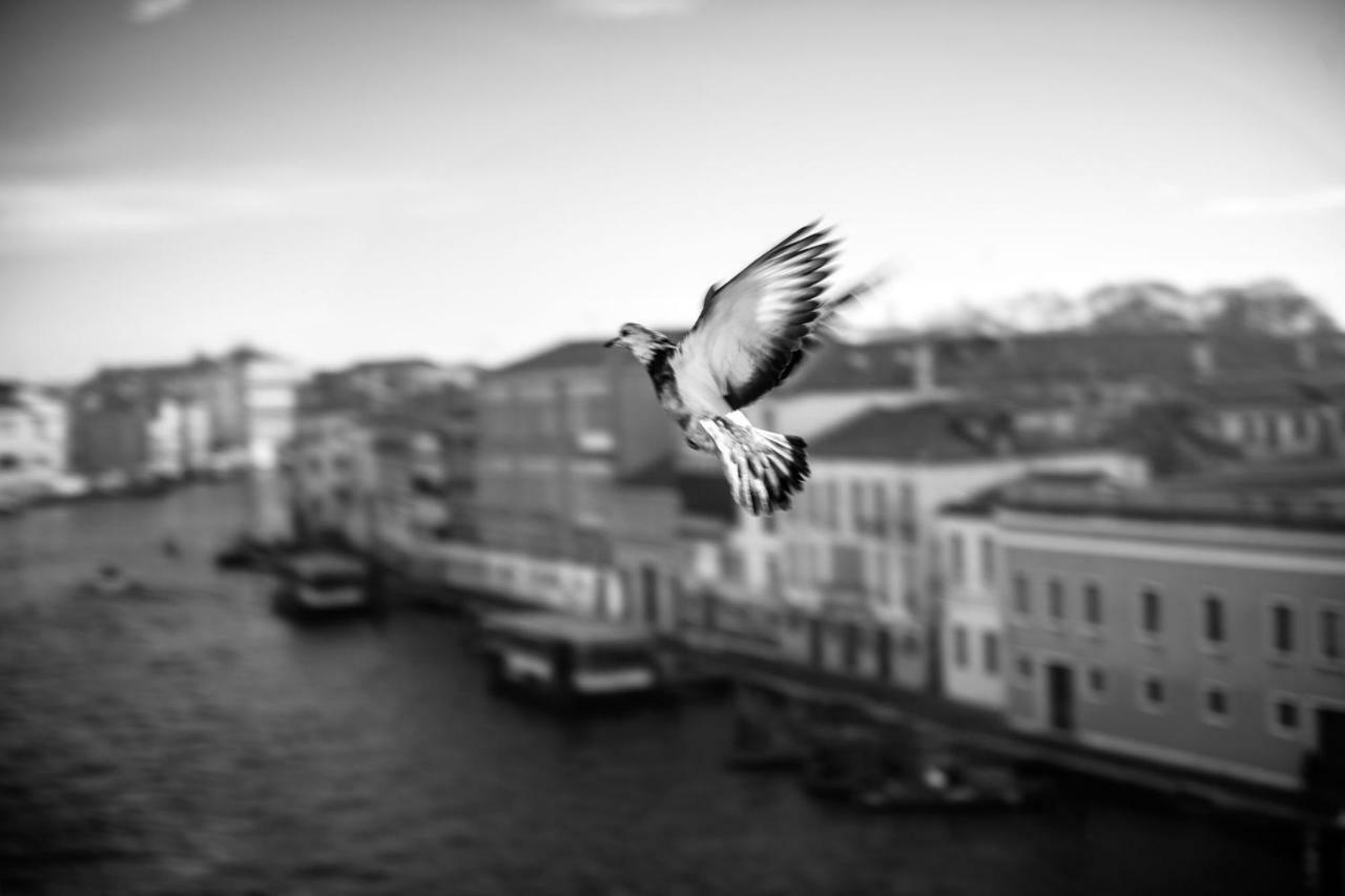 Ca' Bonfadini Historic Experience Venedig