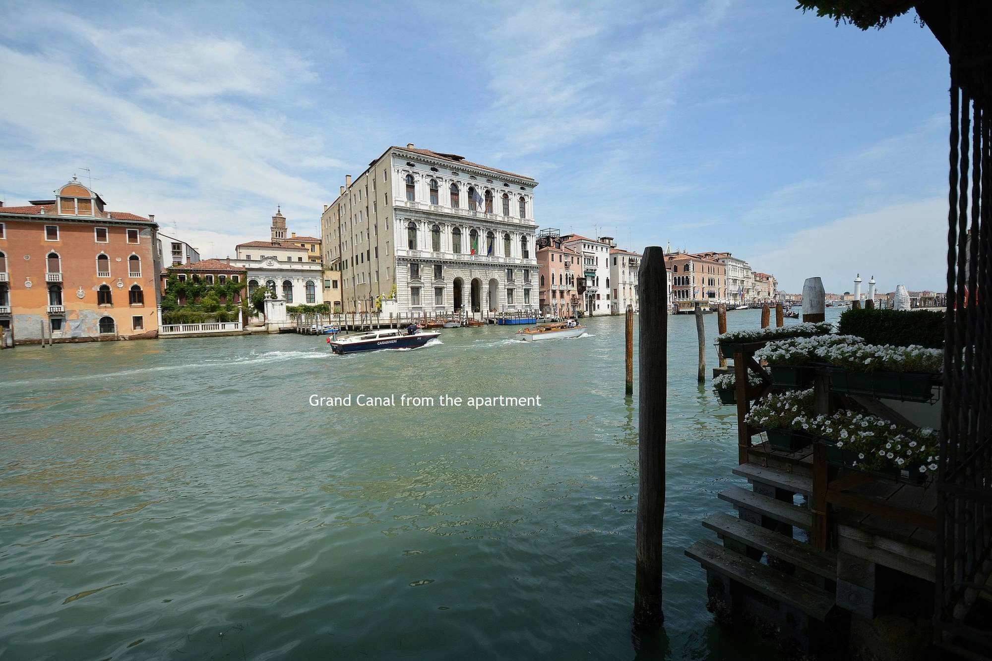 Romy Venice