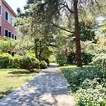 Patch Of Eden