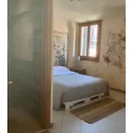 Sunny Room