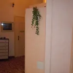 Cadoro