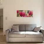 Serenissima Apartments