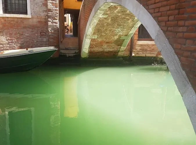 The Secret Garden In The Very Heart Of Venice