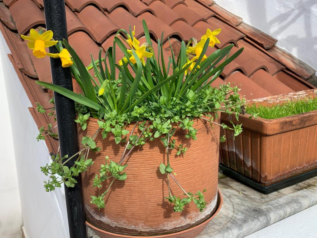 Appartement Rooftop Terrace Domus Dei Fabbri