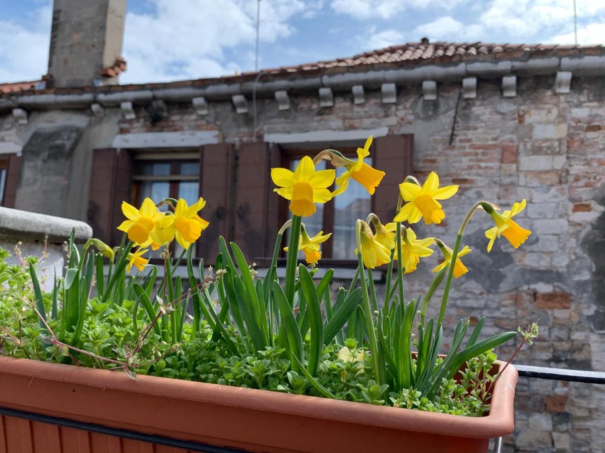 Rooftop Terrace Domus Dei Fabbri Appartement