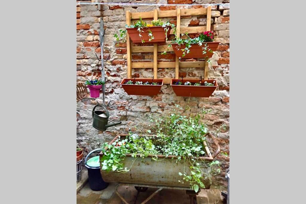 Il Buco Della Suora Appartement