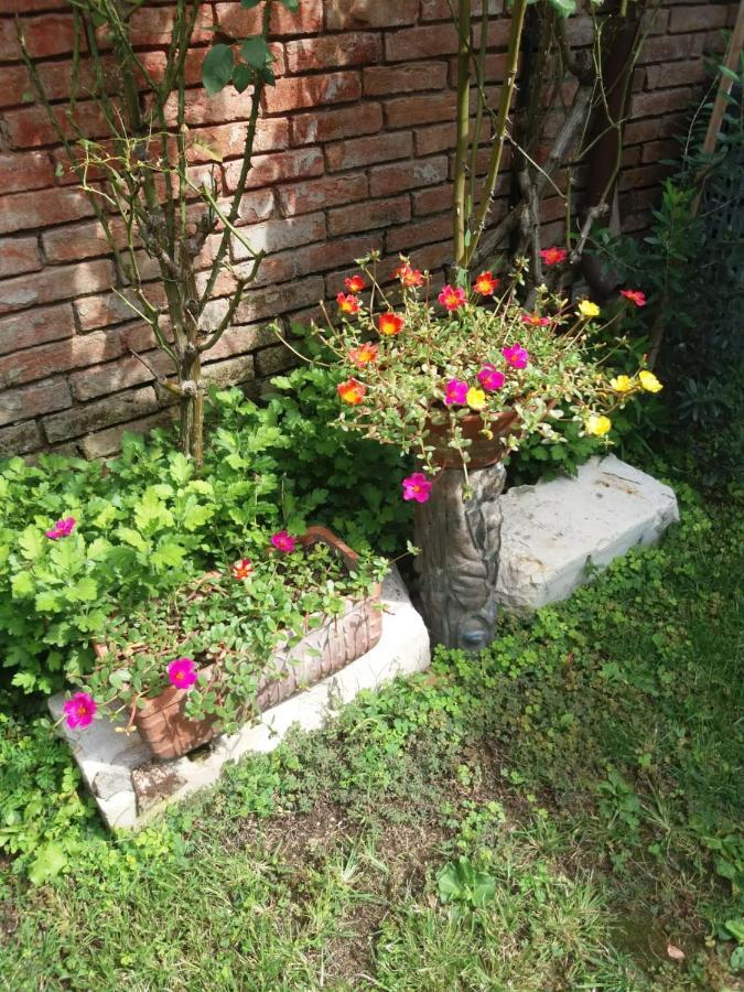 Paradiso Ca' Giulia Appartement Venise