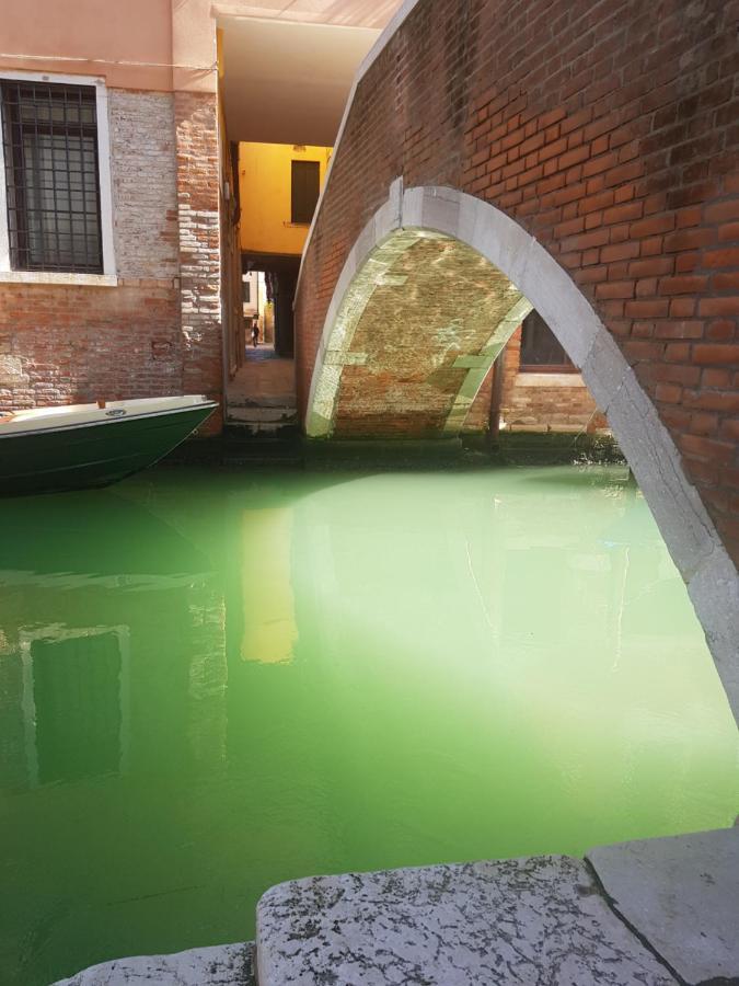 The Secret Garden In The Very Heart Of Appartement
