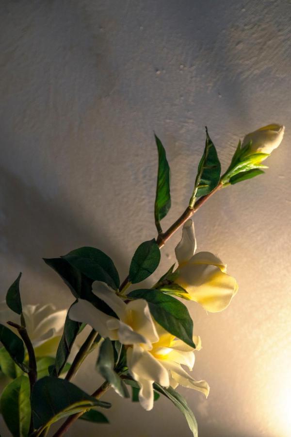 Ca’ Anna In Biennale Apartment
