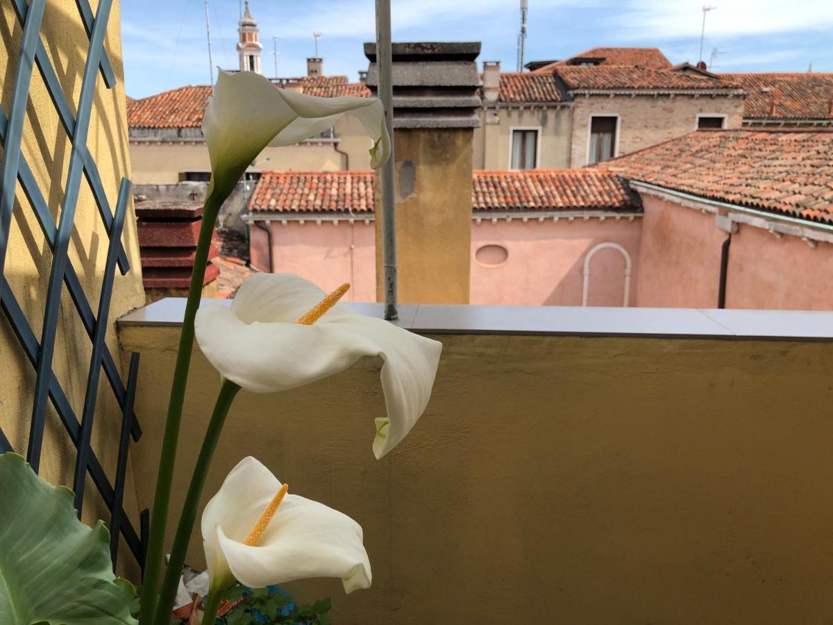 - Ca' D'oro: Bella Casa Con Terrazzi Apartment Venice