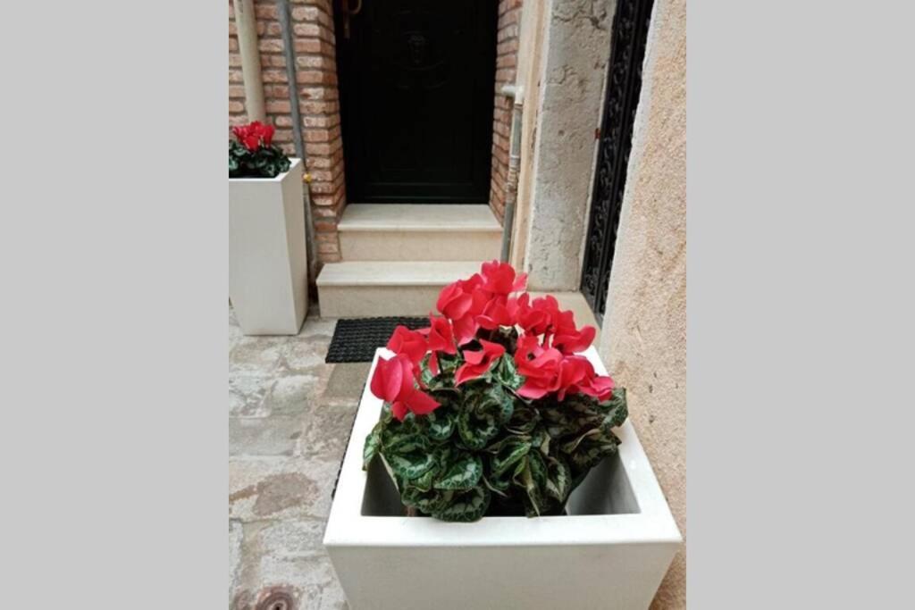 Ca Cici Loft Venezia