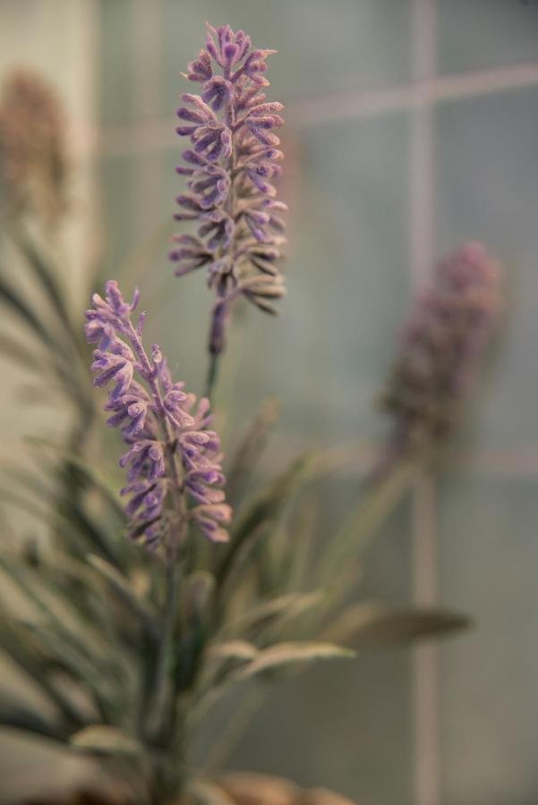 Mansardina - 1 Min From Accademia - Duplex Stylish And Cosy Appartement Venise