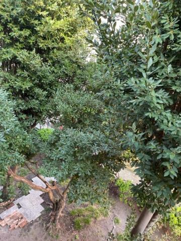 Appartement Ca' Della Carita' Venise