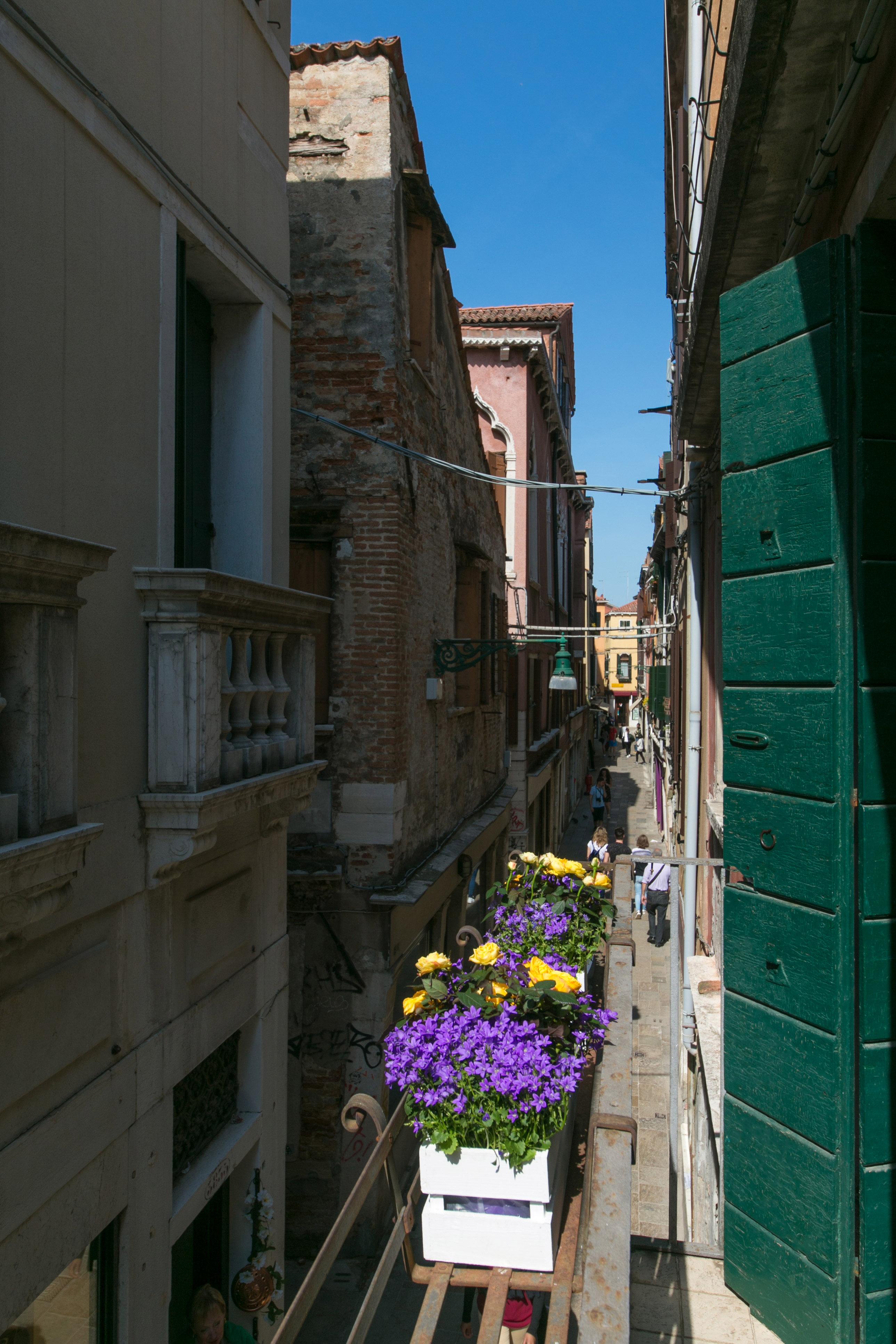 Pantalon Hotel Venise