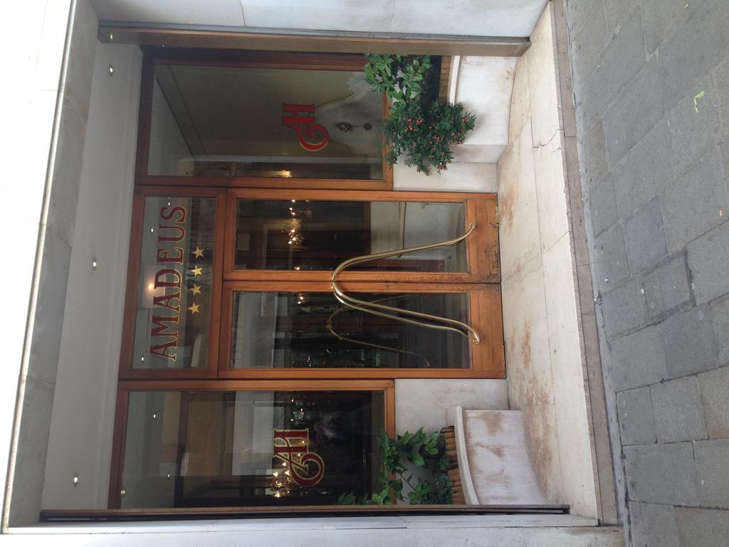 Amadeus Venezia