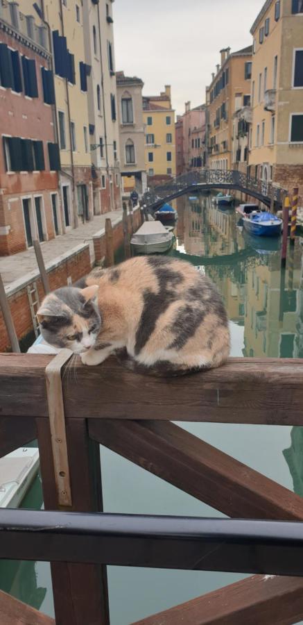 Magic Casanova Flat In The Heart Of Appartamento