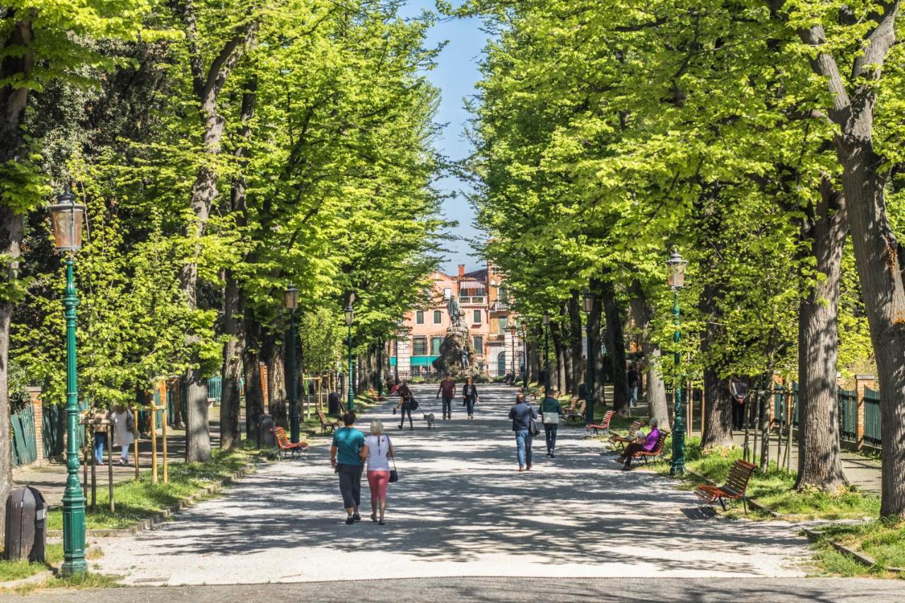The Golden Tree, In * Venetië