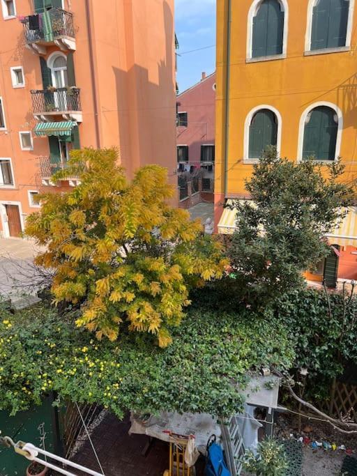 Tipico Veneziano * Venetië