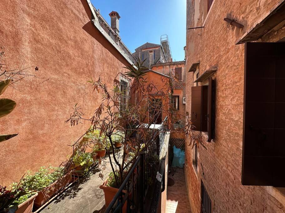 Apartment Terrace Venice
