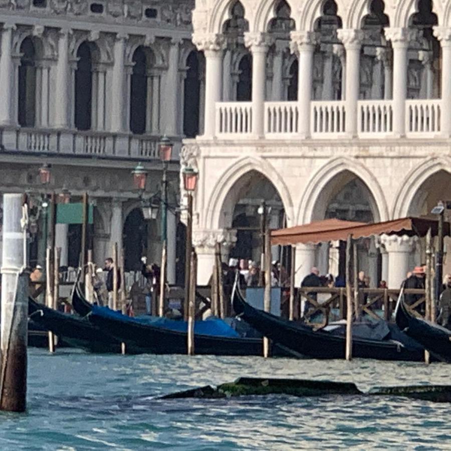 The Wolf House Venedig