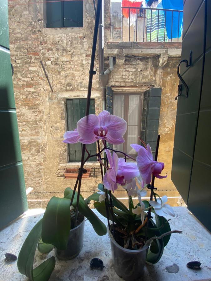 Emma's House Venise