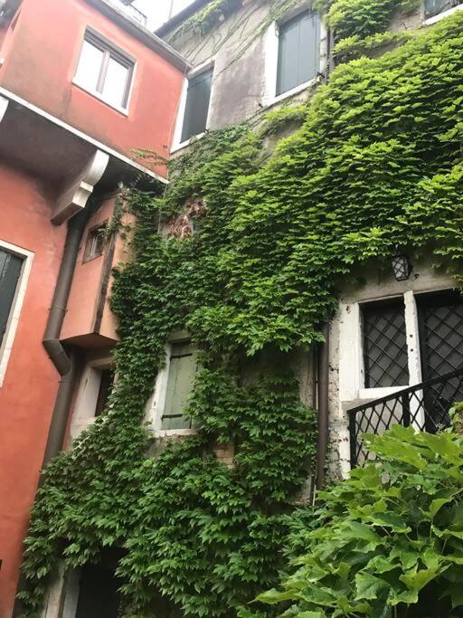 Appartement Centralissimo Tra San Marco E Palazzo Grassi Venetië