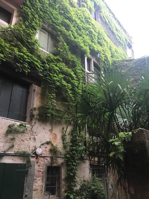 Centralissimo Tra San Marco E Palazzo Grassi Appartement *