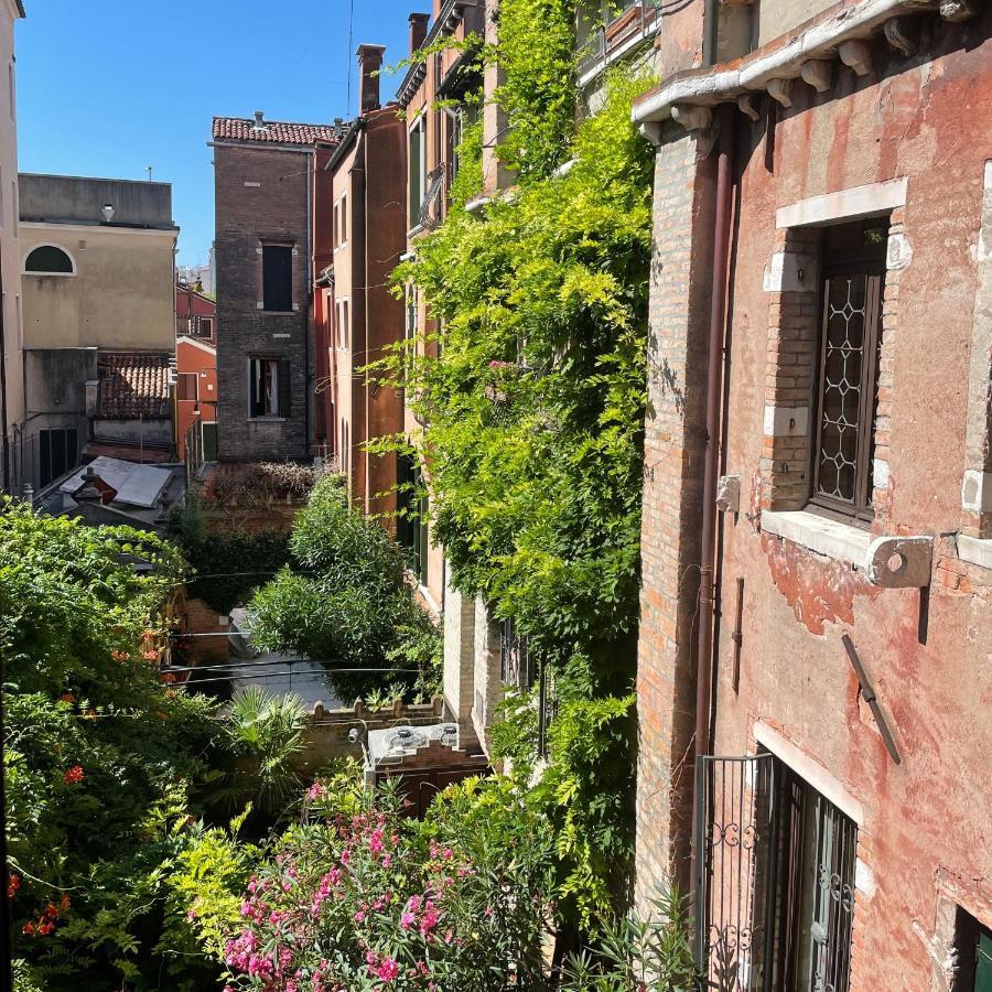 Ca' Little Beauty Appartement