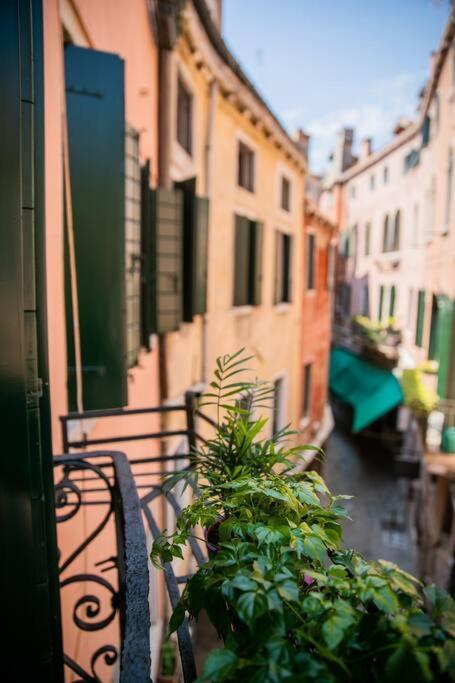 San Marco Apartment *