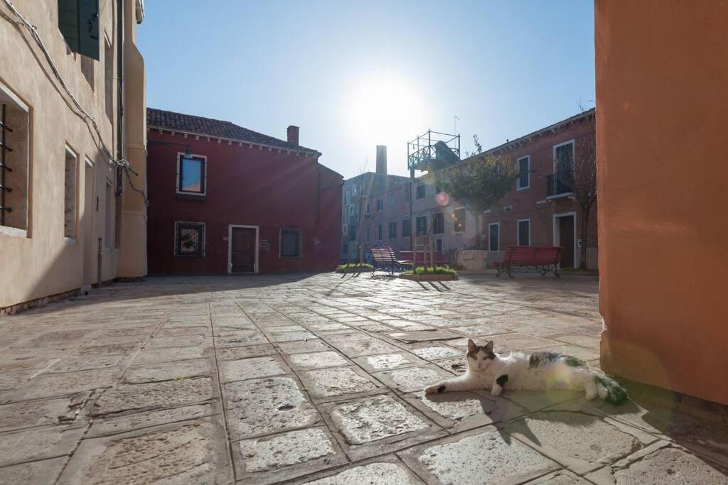 Ca' Ferrando, Brand New Apartment, Experienced Host! Venise