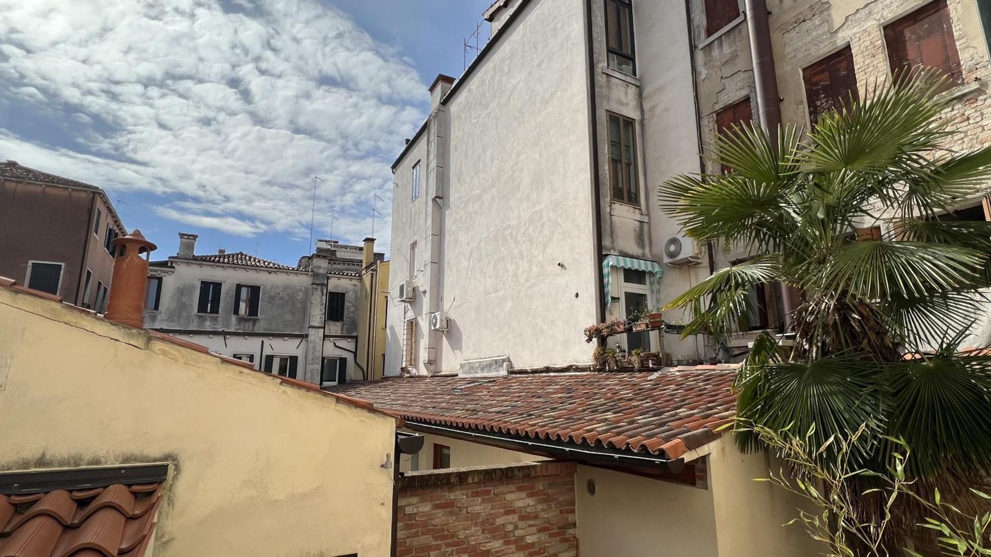 Stella Venice