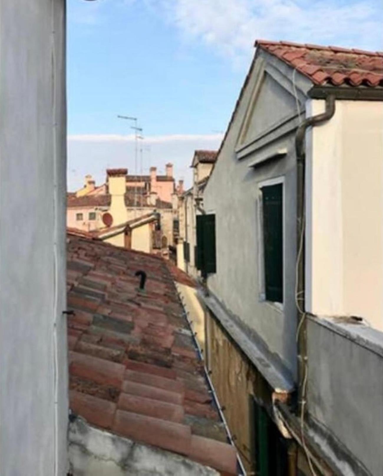 Blue George Appartement