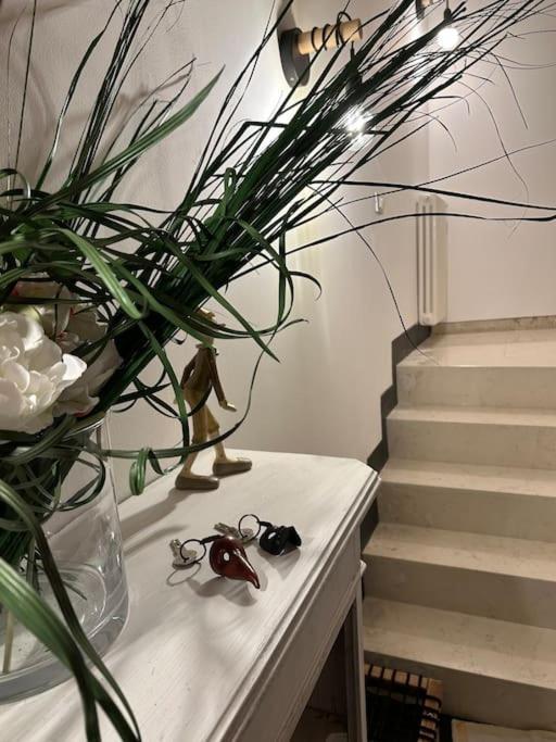 Maddalena's House Venise