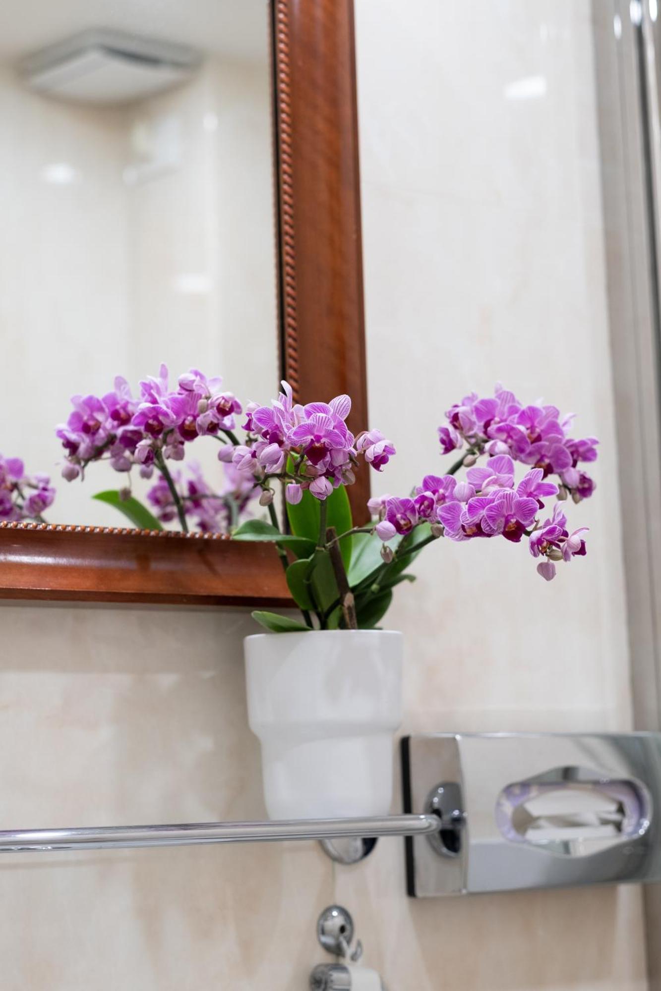 Palazzo Schiavoni Residenza D'epoca & Suite-apartments 3* Venice